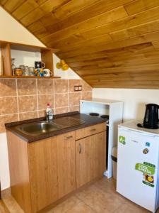 Kuchyň nebo kuchyňský kout v ubytování Apartmány u rybníčka