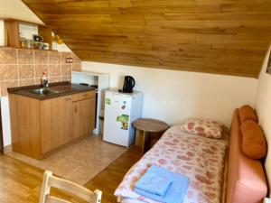 Kuchyň nebo kuchyňský kout v ubytování Apartmány u rybníčka