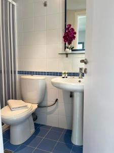 a bathroom with a toilet and a sink at Villa Mertiza in Myrtos