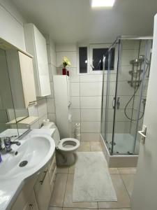 uma casa de banho com um WC, um lavatório e um chuveiro em Appartement Deux chambres près de Atomium em Bruxelas