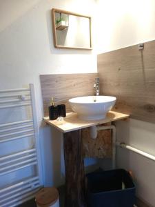 uma casa de banho com um lavatório branco e um espelho. em AU BAIN Normand : bain nordique et détente. em Goderville