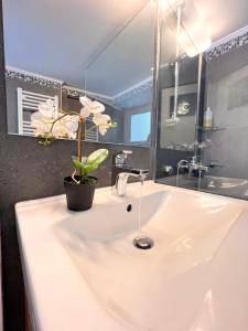 a bathroom with a sink with a potted plant on it at Quiet and Cozy Apartment of New Psihiko No 6 in Athens