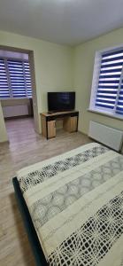 a bedroom with a bed and a tv and two windows at Family apartment 2 rooms in Kharkiv