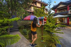 Zahrada ubytování Zostel Shillong