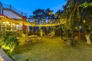Zahrada ubytování Zostel Shillong