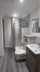 un bagno con wc, doccia e lavandino di Zen Home - appartement jusqu'à 4 voyageurs a Nantua
