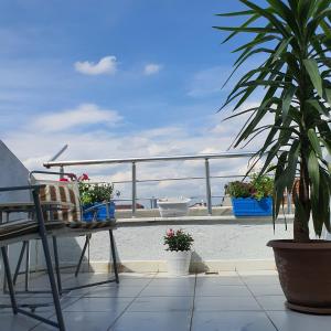 um pátio com uma cadeira e vasos de plantas numa varanda em Cosy & Spacious Terrace Flat em Istambul