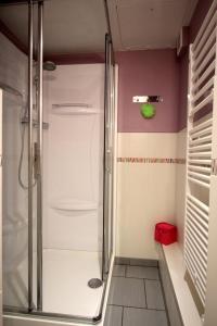 um chuveiro com uma porta de vidro na casa de banho em Les moissonneurs em Champagnac-la-Rivière