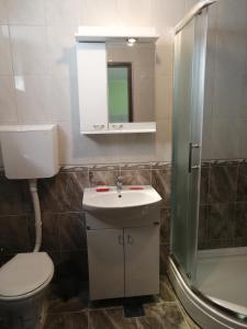 a bathroom with a toilet and a sink and a shower at Apartman Panorama in Mokra Gora