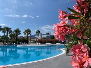Bazén v ubytovaní Camping Del Mar 10, Mobil home Petit Paradis, 6 personnes, Bord de mer, Camping Del Mar Village alebo v jeho blízkosti