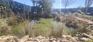 un estanque en un jardín con césped y rocas en Finca Don Sancho, en Lillo