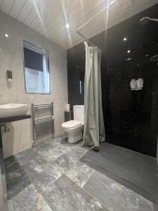 uma casa de banho com um WC, um lavatório e um chuveiro em Charnwood Regency Guest House em Loughborough