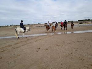 um grupo de pessoas andando a cavalo na praia em Le Cocon de Nacre - à 300m de la plage - wifi em Courseulles-sur-Mer