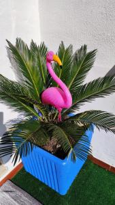Foto dalla galleria di Casa Flamingo House a San Teodoro