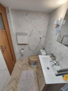 La salle de bains est pourvue de toilettes et d'un lavabo. dans l'établissement Domek nad jeziorem w otulinie lasu, à Bartołty Wielkie