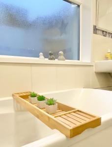 a bath tub with three plants in a window at Comfortable Home in Hull in Hull