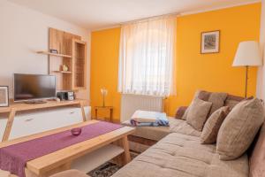 a living room with a couch and a tv at Hof Türke in Moritzburg