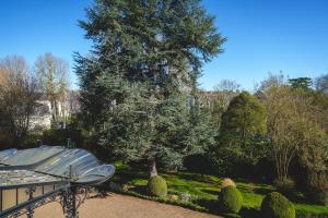 Château La Comtesse de Loire & Spa外面的花园