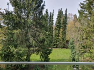 een uitzicht vanuit een raam op een tuin met bomen bij Gästehaus Martha in Rust