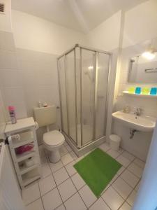 a bathroom with a shower and a toilet and a sink at *Engels - Ferienwohnungen in Visquard