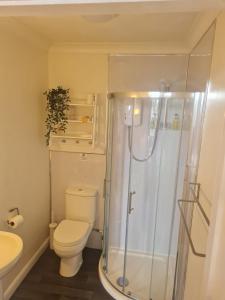 y baño con ducha, aseo y lavamanos. en Heathcliff House B&B Exclusively for Adults Free large carpark, en Torquay