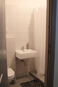 a bathroom with a sink and a toilet at Green Park Rooms Brno in Brno