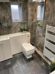 a bathroom with a toilet and a sink at St Dunstan's Hideaway in Canterbury