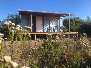 ein kleines weißes Haus mit einer Terrasse auf einem Feld in der Unterkunft Fynbos Tiny Home - Off Grid, Surrounded by Nature in Plettenberg Bay
