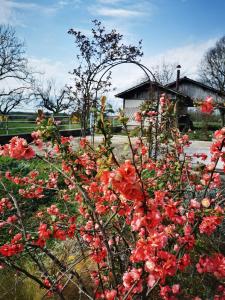 Fotografia z galérie ubytovania Chambre double - La belle Verte - Domaine de l'Espérance v destinácii Bersaillin
