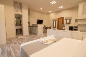 a large room with a bed and a kitchen at The Mountain House By Plakalona Villas & Apartments in Tourlotí
