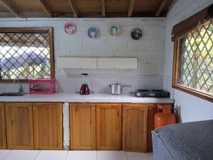 a kitchen with a counter with a blender on it at Finca los Martinez - Tamesis - Vereda San Isidro in Támesis