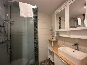 a bathroom with a shower and a sink and a mirror at Wurmbergblick Nico in Braunlage 4 Sterne zertifiziert vom DTV inklusive Wäschepakete in Braunlage +28 photos