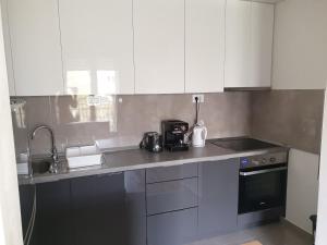 Кухня або міні-кухня у Apartman N&N