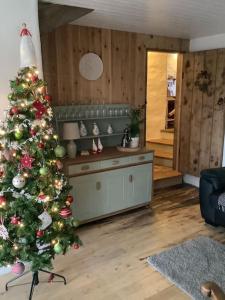 a christmas tree is in a living room with at Penrallt-Fach Traditional Welsh cottage Pembrokeshire in Mynachlogddu