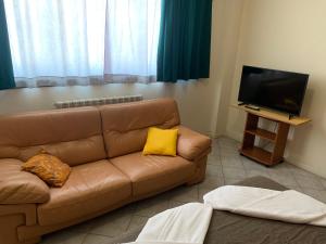 a living room with a brown couch and a flat screen tv at Residence Giulia in Santa Maria Maddalena