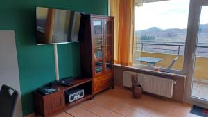 a living room with a tv and a window at App 350 mit Brockenblick in Braunlage