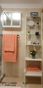 a bathroom with a towel rack and a window at Roca House in Braşov