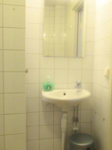 a bathroom with a sink and a toilet and a mirror at Conciërgewoning van het gerechtsgebouw. in Ragunda