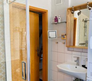 a bathroom with a shower and a sink at Gelbes Haus bei Mardorf am Steinhuder Meer in Rehburg-Loccum +17 photos
