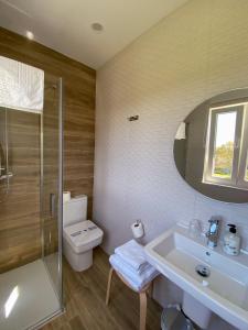 een badkamer met een wastafel, een toilet en een douche bij PortoSantiago Boutique & Rooms in Portomarin