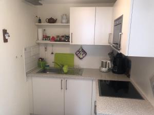 eine kleine Küche mit weißen Schränken und einem Waschbecken in der Unterkunft Apartment Elena in Schönwald
