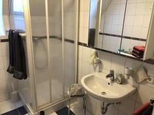een badkamer met een douche en een wastafel bij Apartment Elena in Schönwald