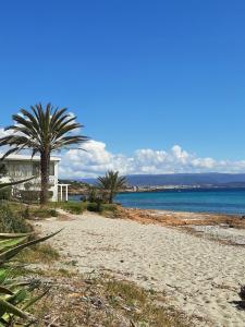 una playa con una palmera y una casa en Cozy accommodation in Sardinia, Olmedo, en Olmedo
