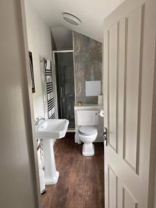 La salle de bains est pourvue de toilettes blanches et d'un lavabo. dans l'établissement The New Forest Inn, à Lyndhurst