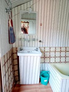 斯利那加的住宿－H.B.victoria Garden，浴室配有盥洗盆和浴缸。