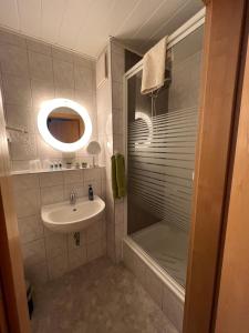 uma casa de banho com um chuveiro, um lavatório e um espelho. em Hotel Abtshof em Halberstadt