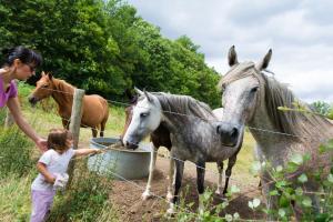 kobieta i dziewczynka karmiące dwa konie w obiekcie Tente Lodge 13 couchages w mieście Vaas