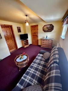 ein Wohnzimmer mit einem Sofa und einem TV in der Unterkunft Pension Zum Erzgebirge in Kurort Altenberg
