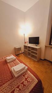 TV a/nebo společenská místnost v ubytování Delizioso appartamento in corte