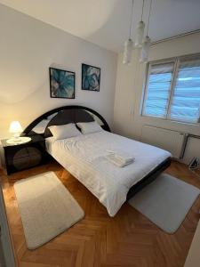 1 dormitorio con 1 cama grande y suelo de madera en Apartman “Sofia” en Pirot